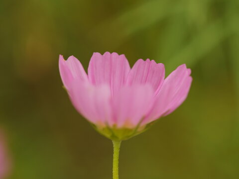 中奖喜悦